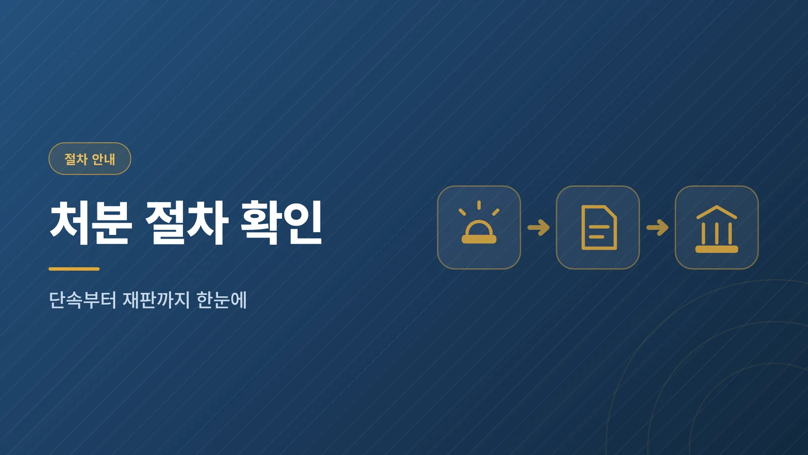 처분 절차 확인 - 단속부터 재판까지 한눈에